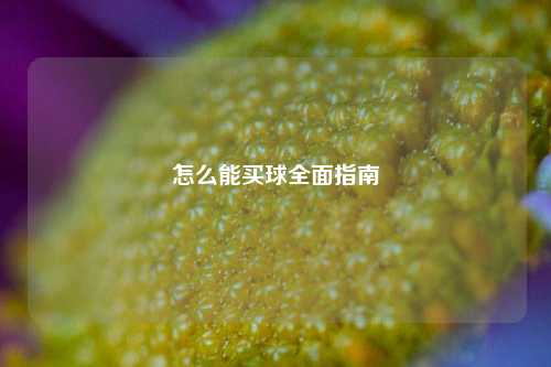 怎么能买球全面指南