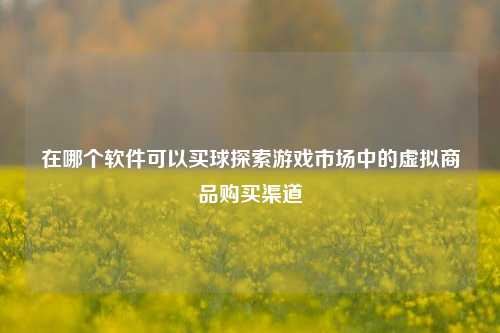 在哪个软件可以买球探索游戏市场中的虚拟商品购买渠道