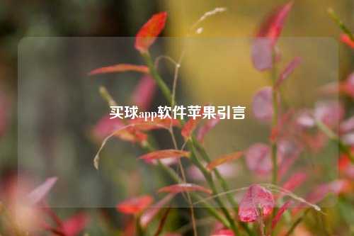 买球app软件苹果引言