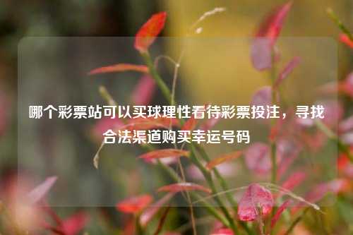哪个彩票站可以买球理性看待彩票投注，寻找合法渠道购买幸运号码