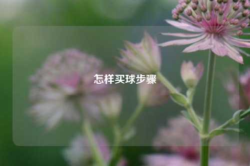 怎样买球步骤