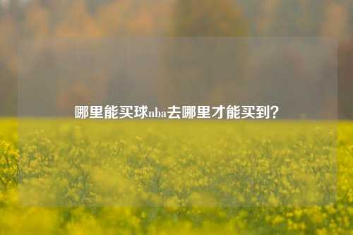 哪里能买球nba去哪里才能买到？