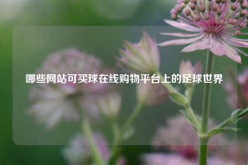 哪些网站可买球在线购物平台上的足球世界