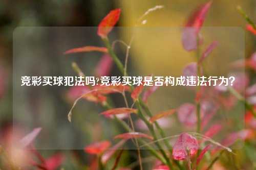 竞彩买球犯法吗?竞彩买球是否构成违法行为？