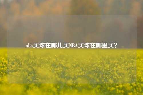 nba买球在哪儿买NBA买球在哪里买？