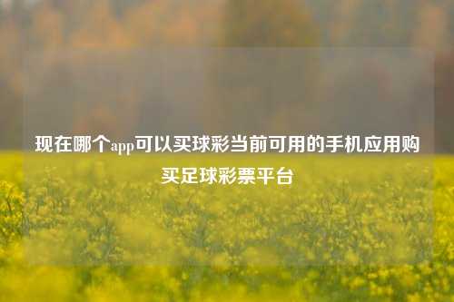 现在哪个app可以买球彩当前可用的手机应用购买足球彩票平台