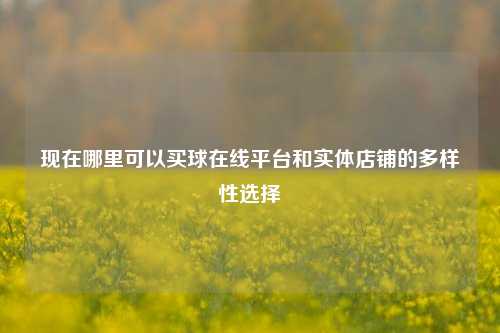 现在哪里可以买球在线平台和实体店铺的多样性选择