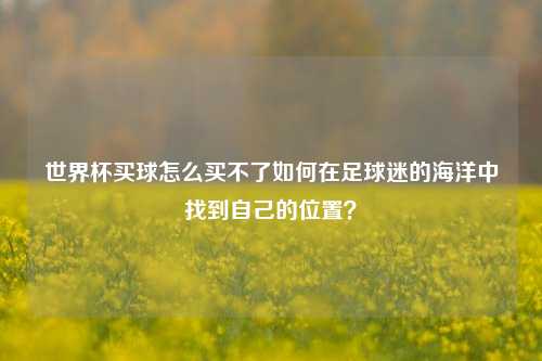 世界杯买球怎么买不了如何在足球迷的海洋中找到自己的位置？