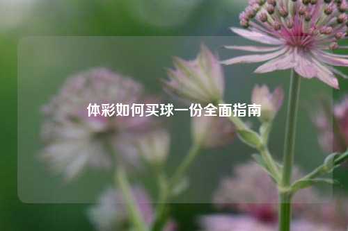 体彩如何买球一份全面指南