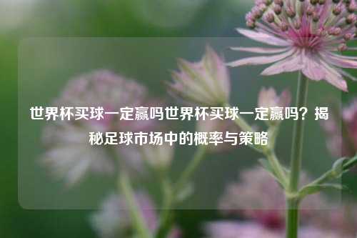 世界杯买球一定赢吗世界杯买球一定赢吗？揭秘足球市场中的概率与策略