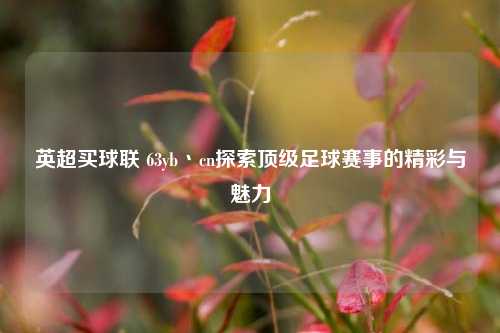英超买球联 63yb丶cn探索顶级足球赛事的精彩与魅力