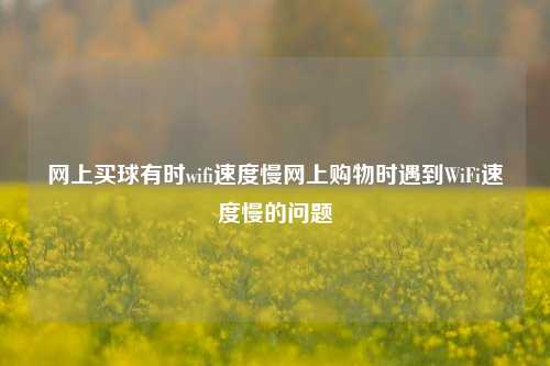 网上买球有时wifi速度慢网上购物时遇到WiFi速度慢的问题