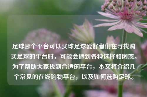 足球哪个平台可以买球足球爱好者们在寻找购买足球的平台时，可能会遇到各种选择和困惑。为了帮助大家找到合适的平台，本文将介绍几个常见的在线购物平台，以及如何选购足球。