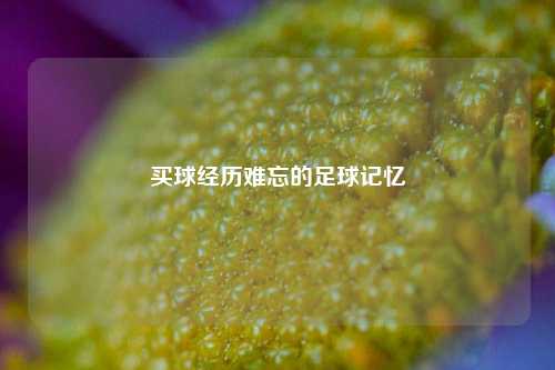 买球经历难忘的足球记忆