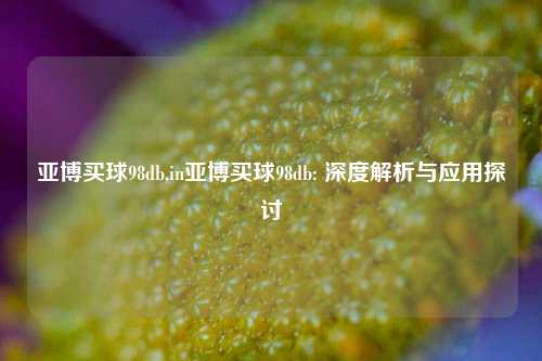 亚博买球98db,in亚博买球98db: 深度解析与应用探讨