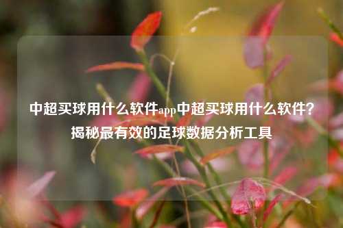 中超买球用什么软件app中超买球用什么软件？揭秘最有效的足球数据分析工具