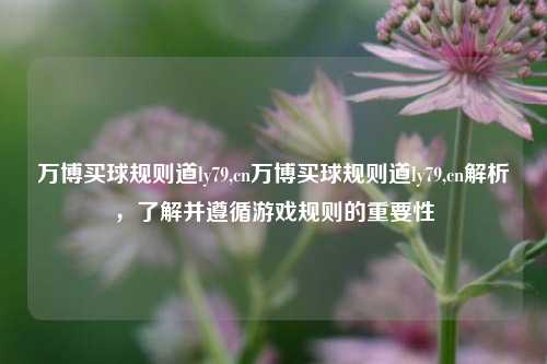 万博买球规则道ly79,cn万博买球规则道ly79,cn解析，了解并遵循游戏规则的重要性