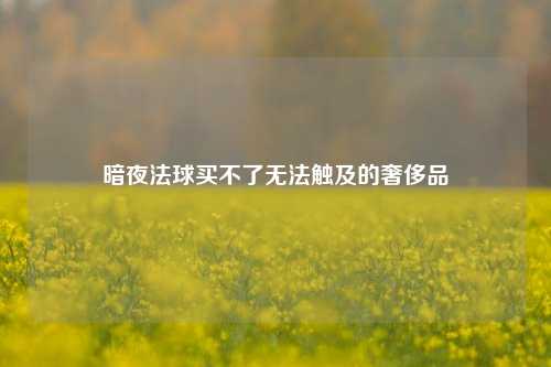 暗夜法球买不了无法触及的奢侈品