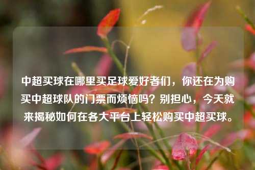 中超买球在哪里买足球爱好者们，你还在为购买中超球队的门票而烦恼吗？别担心，今天就来揭秘如何在各大平台上轻松购买中超买球。