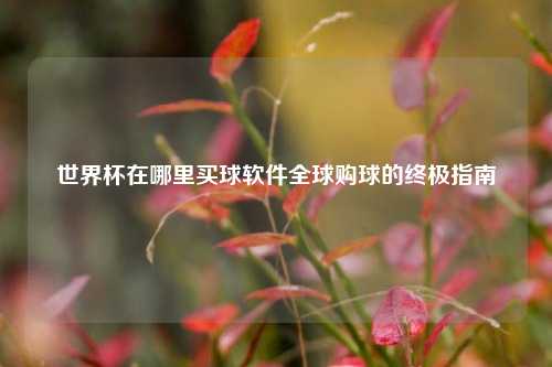 世界杯在哪里买球软件全球购球的终极指南