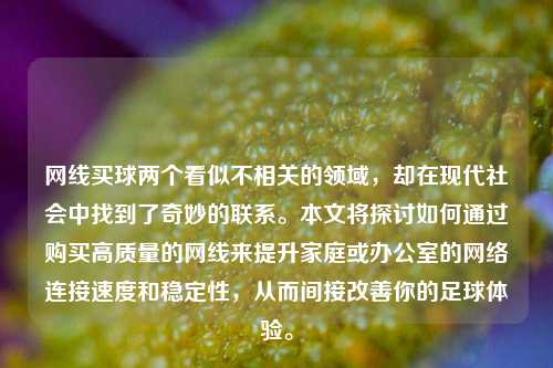 网线买球两个看似不相关的领域，却在现代社会中找到了奇妙的联系。本文将探讨如何通过购买高质量的网线来提升家庭或办公室的网络连接速度和稳定性，从而间接改善你的足球体验。
