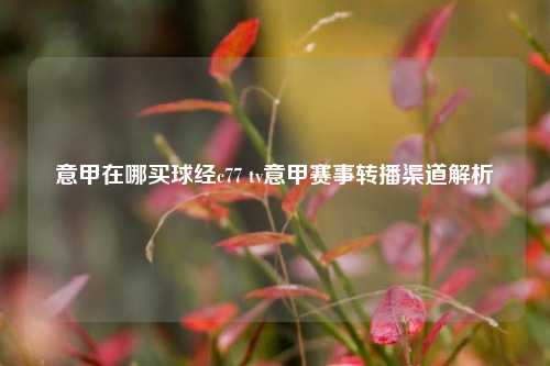 意甲在哪买球经c77 tv意甲赛事转播渠道解析