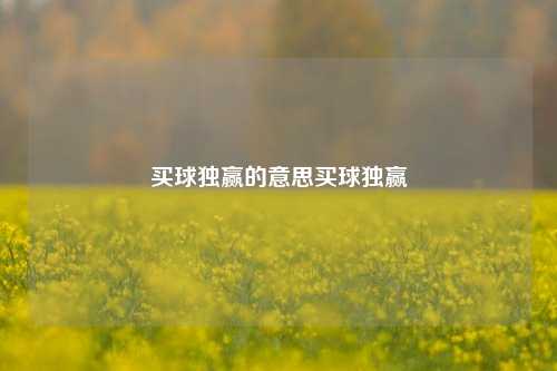 买球独赢的意思买球独赢
