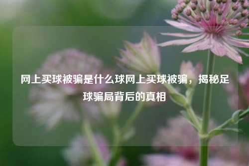 网上买球被骗是什么球网上买球被骗，揭秘足球骗局背后的真相