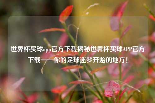 世界杯买球app官方下载揭秘世界杯买球APP官方下载——你的足球迷梦开始的地方！
