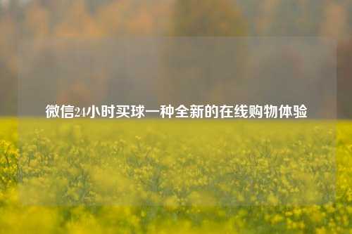 微信24小时买球一种全新的在线购物体验