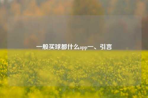 一般买球都什么app一、引言