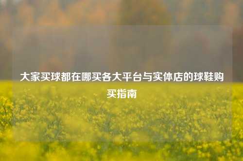 大家买球都在哪买各大平台与实体店的球鞋购买指南