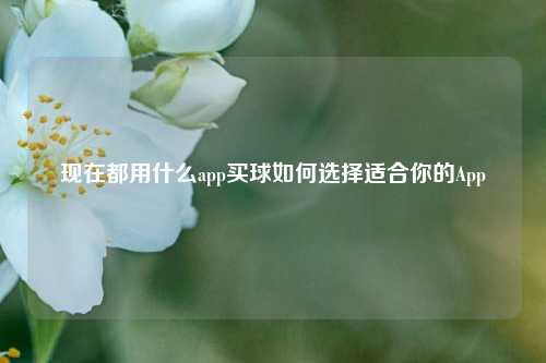 现在都用什么app买球如何选择适合你的App