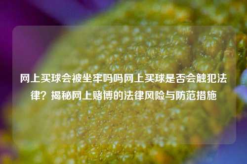 网上买球会被坐牢吗吗网上买球是否会触犯法律？揭秘网上赌博的法律风险与防范措施