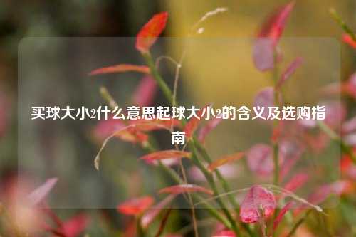 买球大小2什么意思起球大小2的含义及选购指南