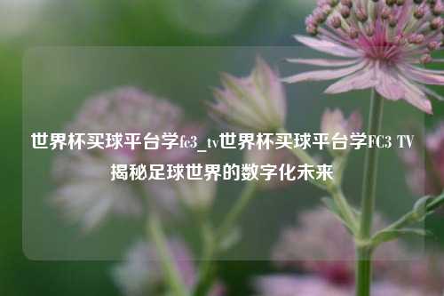 世界杯买球平台学fc3_tv世界杯买球平台学FC3 TV揭秘足球世界的数字化未来