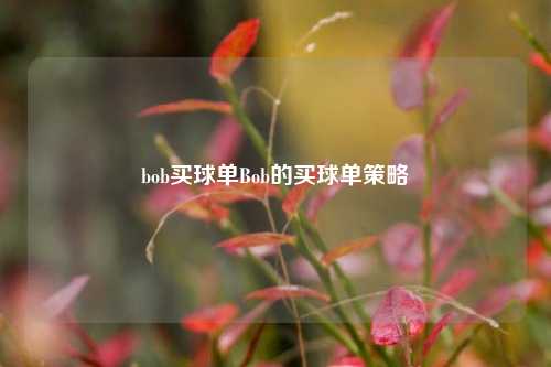 bob买球单Bob的买球单策略
