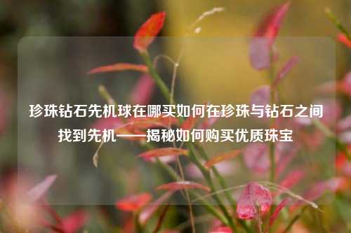 珍珠钻石先机球在哪买如何在珍珠与钻石之间找到先机——揭秘如何购买优质珠宝