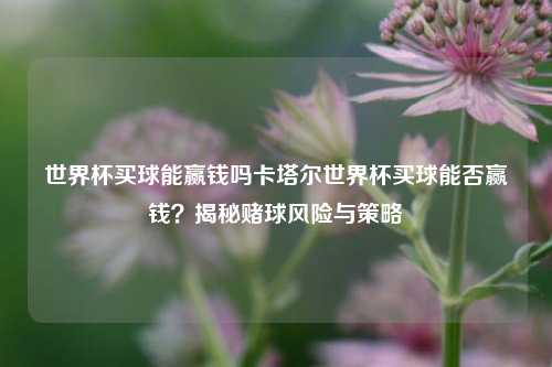 世界杯买球能赢钱吗卡塔尔世界杯买球能否赢钱？揭秘赌球风险与策略