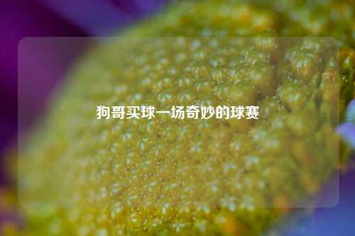 狗哥买球一场奇妙的球赛