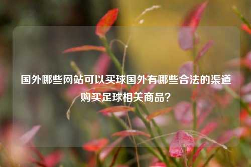 国外哪些网站可以买球国外有哪些合法的渠道购买足球相关商品？