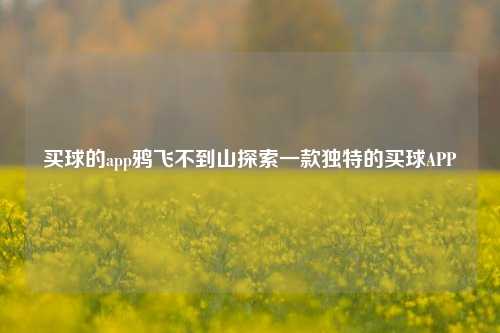 买球的app鸦飞不到山探索一款独特的买球APP