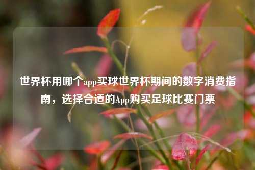 世界杯用哪个app买球世界杯期间的数字消费指南，选择合适的App购买足球比赛门票