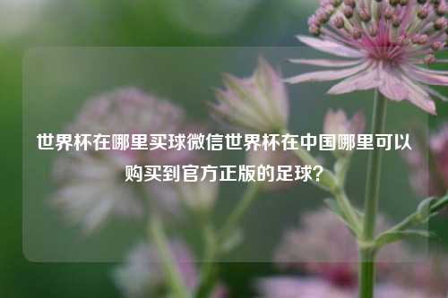 世界杯在哪里买球微信世界杯在中国哪里可以购买到官方正版的足球？