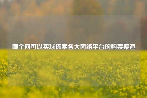 哪个网可以买球探索各大网络平台的购票渠道