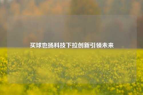 买球也扬科技下拉创新引领未来