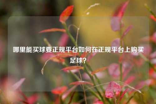 哪里能买球要正规平台如何在正规平台上购买足球？
