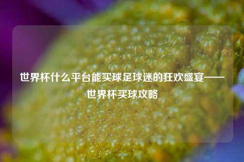 世界杯什么平台能买球足球迷的狂欢盛宴——世界杯买球攻略