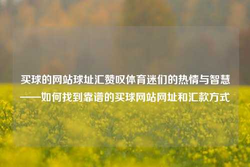 买球的网站球址汇赞叹体育迷们的热情与智慧——如何找到靠谱的买球网站网址和汇款方式