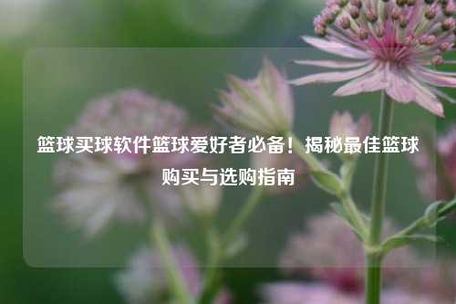篮球买球软件篮球爱好者必备！揭秘最佳篮球购买与选购指南